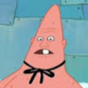 Meet your Posher, Ava